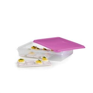 Tupperware Snack-Stor Large with Egg Inserts